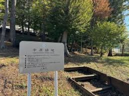 中原緑地の画像1