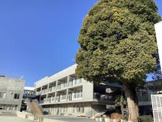 世田谷区立松沢小学校