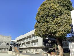 世田谷区立松沢小学校の画像1