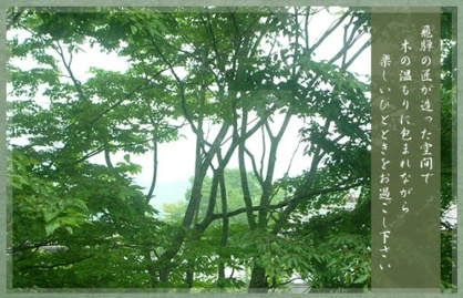 木々の画像1