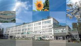 杉並区立向陽中学校
