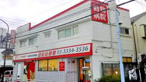 ダクタリ動物病院久我山病院の画像1