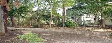 宮前けやき緑地の画像1