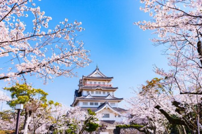 亥鼻公園の画像1