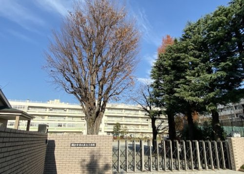 の画像