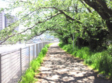 第3号境川緑地