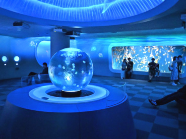 新江ノ島水族館の画像1