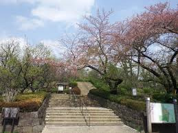 世田谷区羽根木公園の画像1
