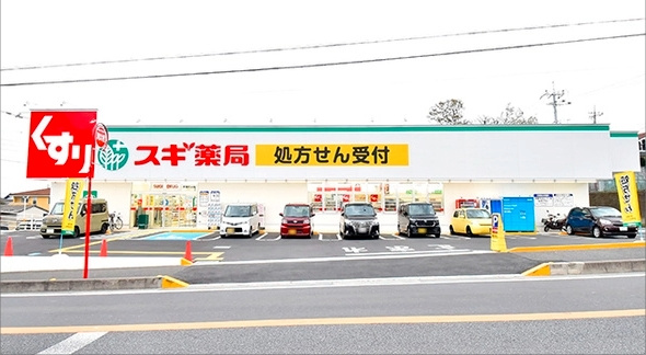 の画像