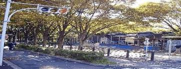 杉並児童交通公園の画像1