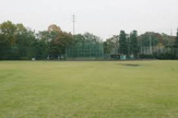 善福寺川緑地野球場