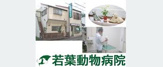 若葉動物病院