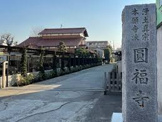 浄土真宗本願寺派 圓福寺