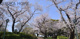 山手公園の画像