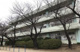 新座市立栄小学校の画像