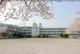 新倉小学校の画像