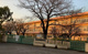 大泉学園桜中学校の画像
