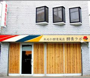酵素世田谷