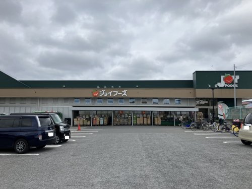 の画像