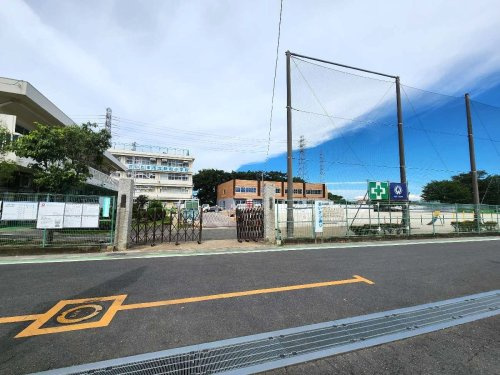 新和小学校の画像