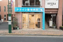 タテイシ動物病院