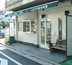 しばさき動物病院の画像1