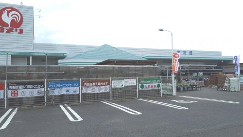 の画像