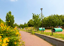 さいわいふるさと公園多目的広場