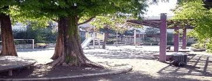 松ノ木公園