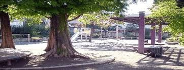 松ノ木公園の画像1