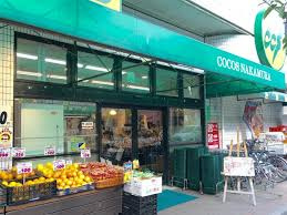 ココスナカムラ 青戸店周辺の売買・賃貸物件のことなら(株)メイワ・エステートへお任せください ココスナカムラ 青戸店の画像1
