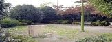 上高井戸西原緑地