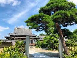 妙善寺の画像1