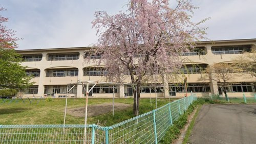 の画像