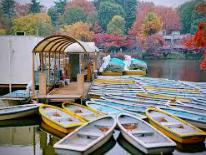 井の頭公園ボート場の画像1