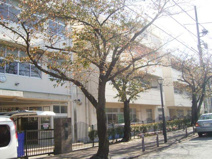南台小学校