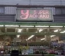 スーパーカオカクの画像1