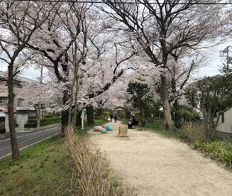 玉川上水第二公園の画像1