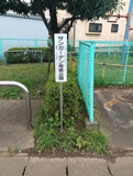 サンガーデン南裏公園