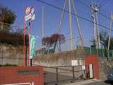 丸山台小学校