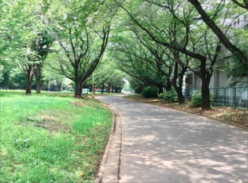 の画像