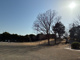 鷺沼公園の画像