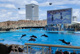 名古屋港水族館の画像