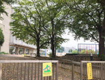 朝霞市立朝霞第十小学校