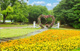 長居公園の画像