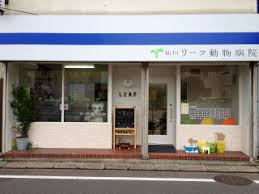 仙川リーフ動物病院の画像1