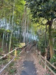 大沢緑地の画像1