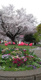 外原公園の画像