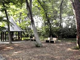 区立三井の森公園の画像1