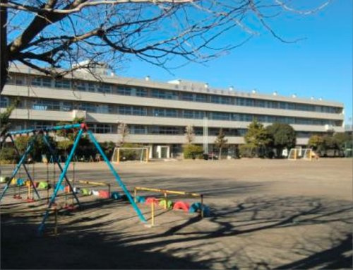 の画像
